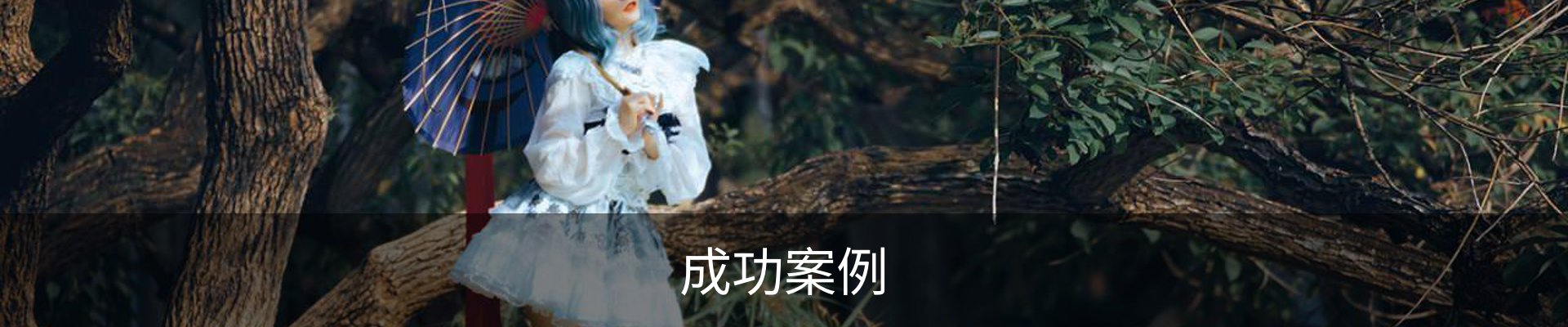 成功案例